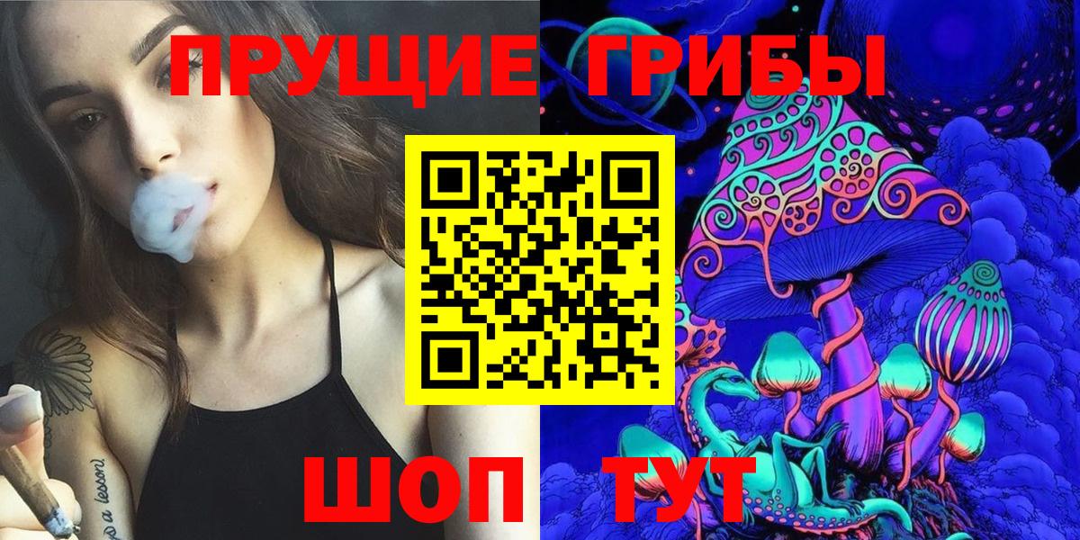 Ульяновск  Галлюциногенные грибы GOLDEN TEACHER  Вход с VPN  Галлюциногенные грибы прущие грибы 